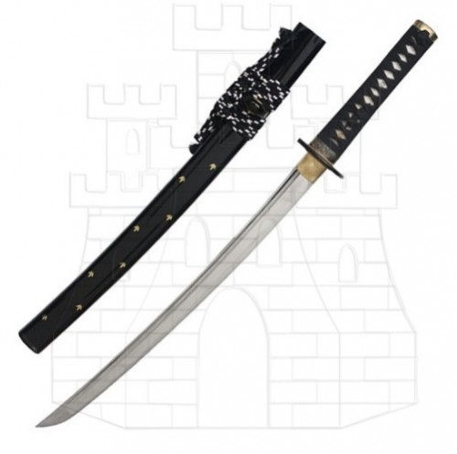 Iaito wakizashi John Lee Zaza