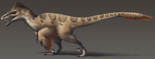 Utahraptor 1