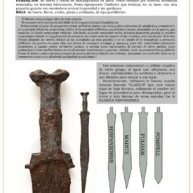 espada-de-antenas-jpg-1739095490