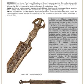 espada-de-frontn-jpg-1738980240