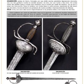 espadas-de-conchas-jpg-1742166567
