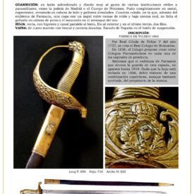 sable-cuerpo-de-farmaceuticos-modelo-1919-jpg-1742576982