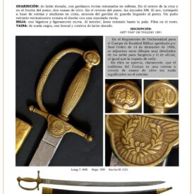 sargento-de-la-brigada-sanitaria-modelo-1886-jpg-1750244968